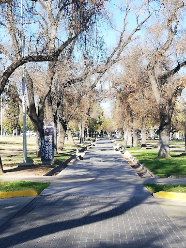 Parques con mesa de ping pong en Mendoza