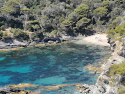 Plage d'Escampo-Barriou'in fotoğrafı küçük koy ile birlikte