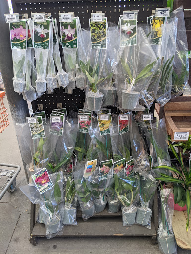 Pet Supply Store «Petco Animal Supplies», reviews and photos, 30697 US Hwy 19 N, Palm Harbor, FL 34684, USA