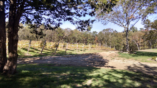 Vineyard «Nickle Creek Vineyard», reviews and photos, 12 King Rd, Foster, RI 02825, USA