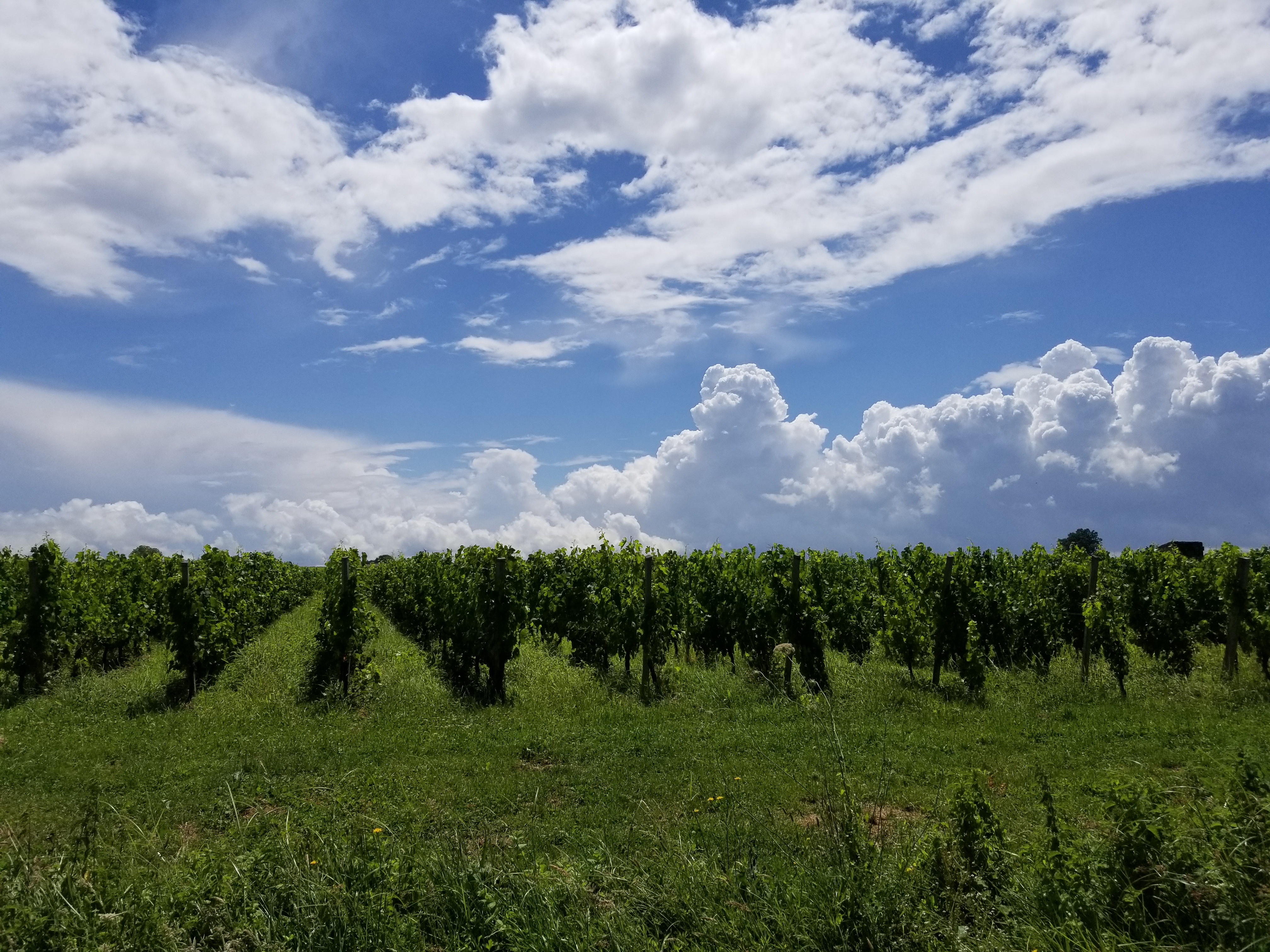 Photo n° 9 de l'avis de Yossi. fait le 19/08/2018 à 04:26