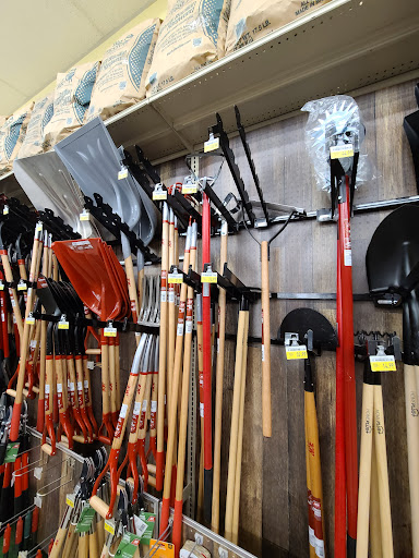 Hardware Store «Brandt & Sons Ace Hardware», reviews and photos, 12634 Dorsett Rd, Maryland Heights, MO 63043, USA
