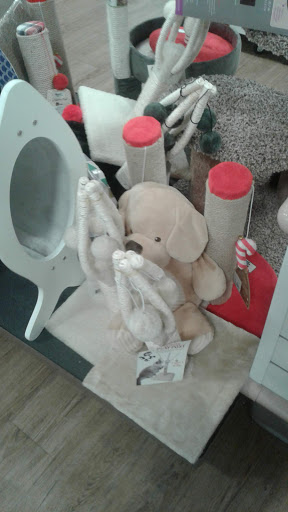 Home Goods Store «HomeGoods», reviews and photos, 4847 E Ray Rd, Phoenix, AZ 85044, USA