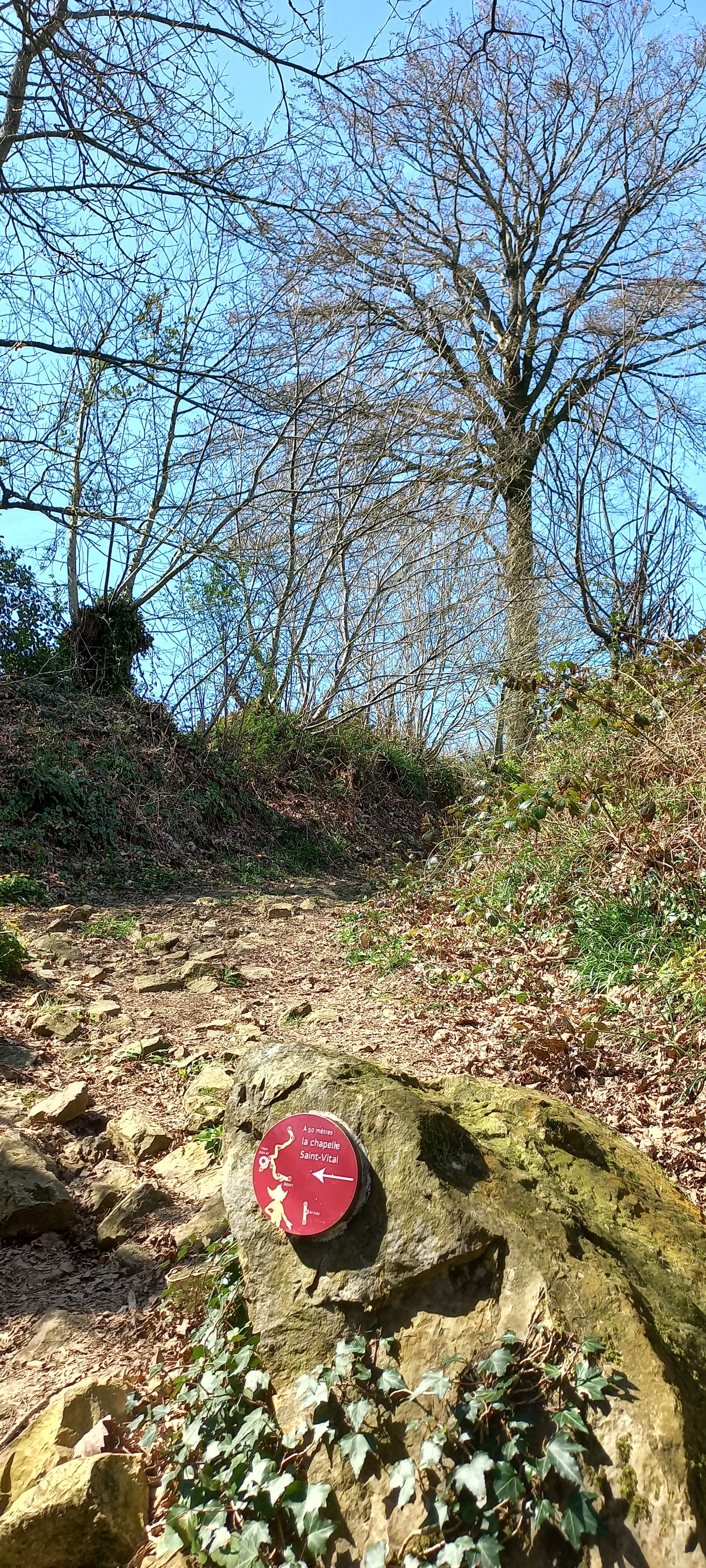 Photo n° 15 de l'avis de Françoise.o fait le 16/04/2023 à 15:18