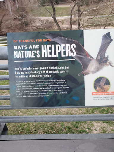 Tourist Attraction «Waugh Drive Bat Colony», reviews and photos, Waugh Dr, Houston, TX 77002, USA