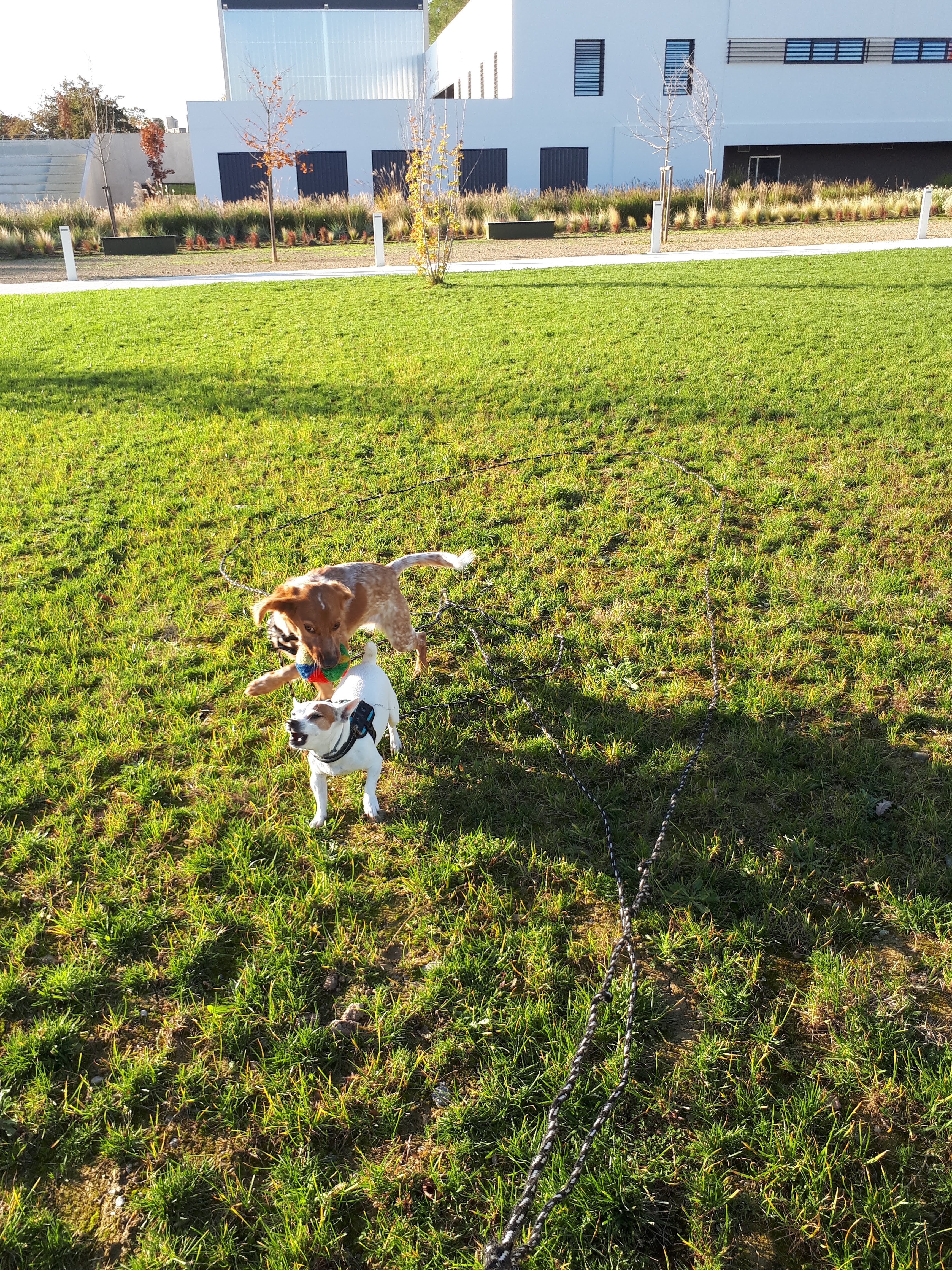 Photo n° 4 de l'avis de Laurent.a fait le 27/01/2019 à 08:01