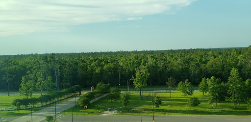 Casino «Delta Downs Racetrack Casino Hotel», reviews and photos, 2717 Delta Downs Dr, Vinton, LA 70668, USA