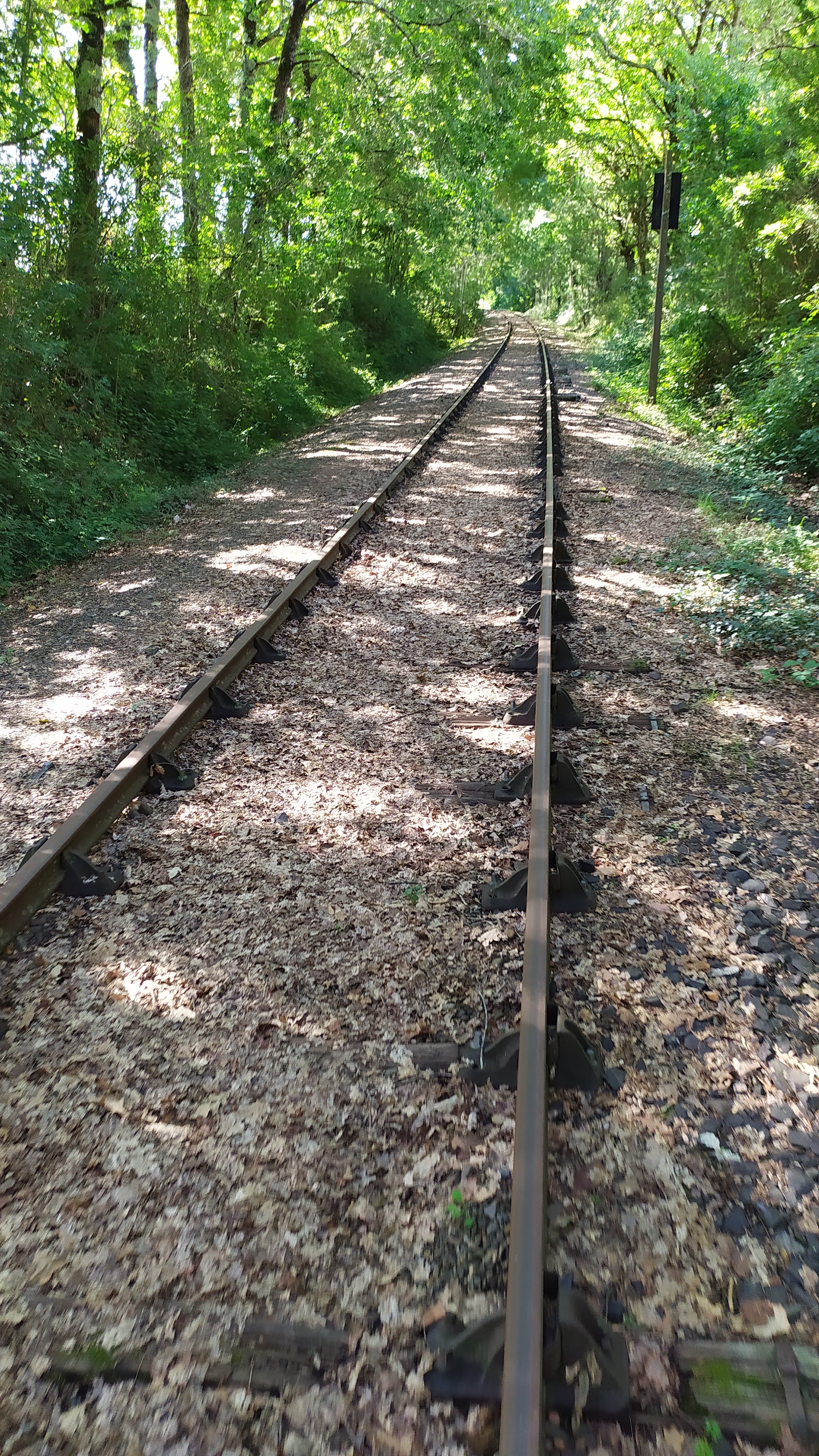Photo n° 1 de l'avis de ghost. fait le 13/08/2019 à 09:28