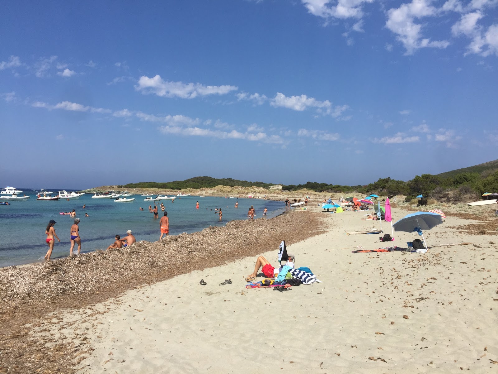 Foto van Barcaggio beach gelegen in een natuurlijk gebied