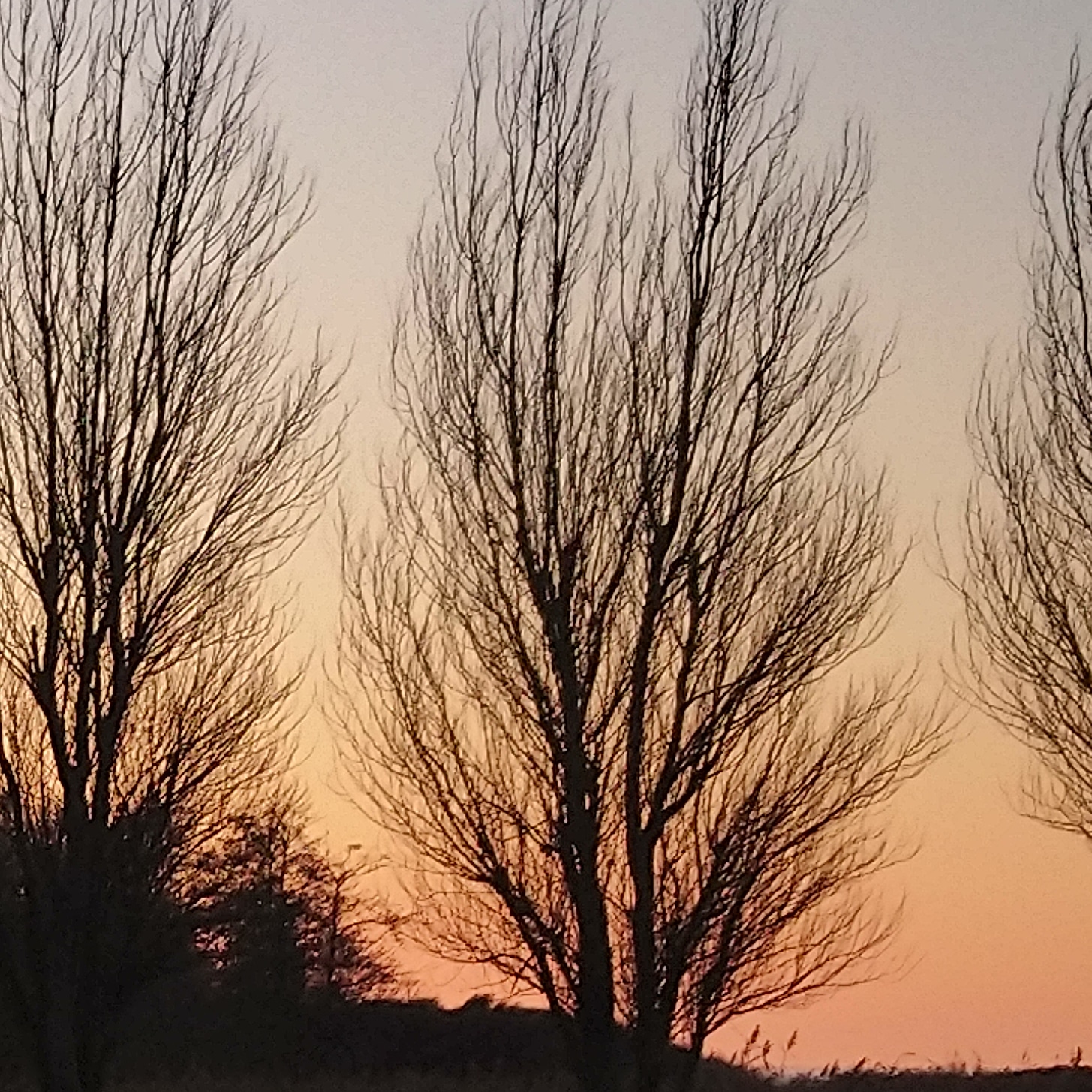 Photo n° 1 de l'avis de Lucien.e fait le 28/07/2019 à 19:45