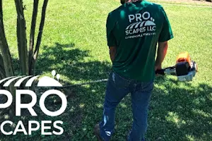 Pro Scapes LLC image