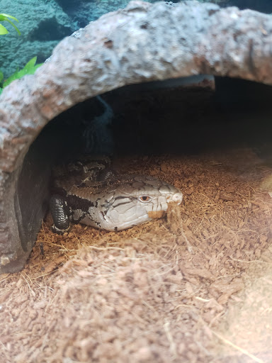 Pet Supply Store «Petco Animal Supplies», reviews and photos, 86 Storrs Rd, Mansfield Center, CT 06250, USA