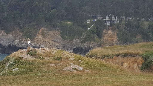 General Store «Ocean Cove General Store», reviews and photos, 23125 CA-1, Jenner, CA 95450, USA