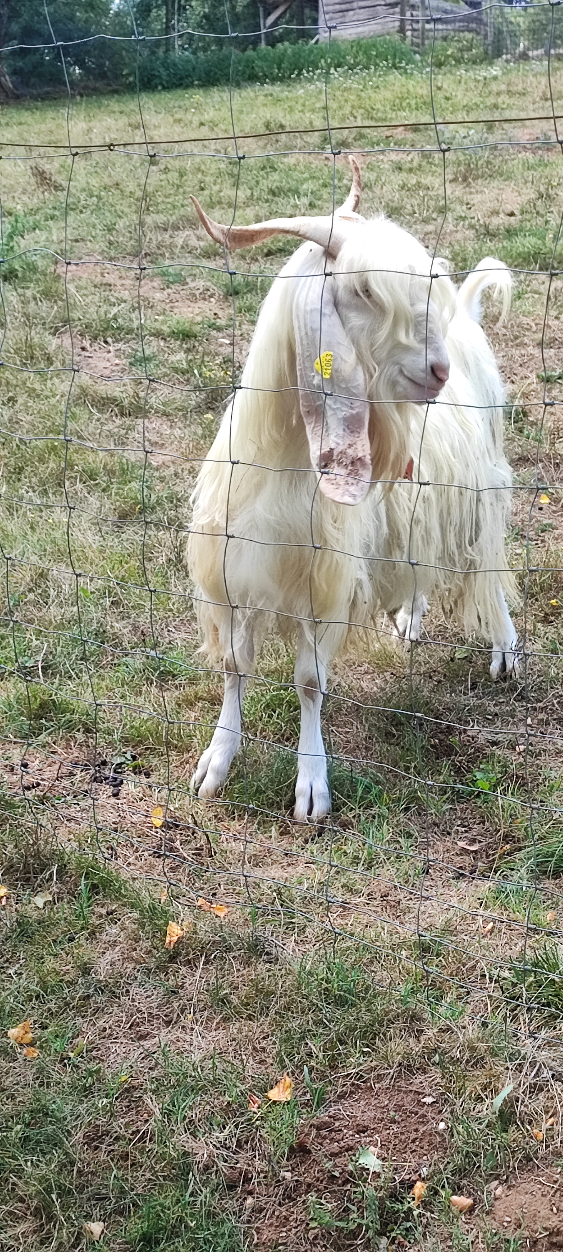 Photo n° 7 de l'avis de Florence.e fait le 15/08/2023 à 17:20