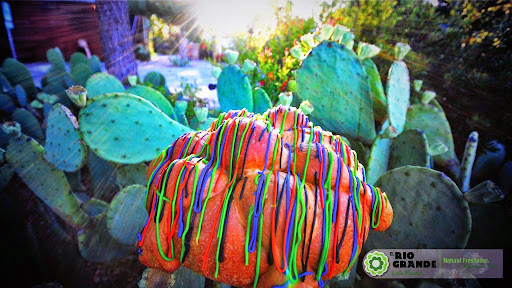 Grocery Store «El Rio Grande #1», reviews and photos, 5308 Maple Ave, Dallas, TX 75235, USA