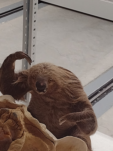 Natural History Museum «Burke Museum of Natural History and Culture», reviews and photos, 1413 NE 45th St, Seattle, WA 98105, USA