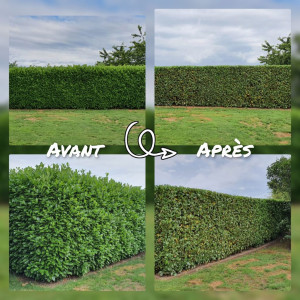 Photo n° 1 de l'avis de Sony.a fait le 11/12/2023 à 18:18