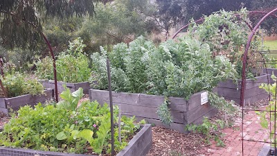 Photos of Westminster Community Food Garden