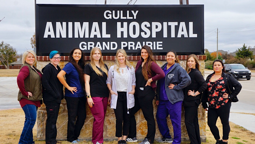 Gully Animal Hospital | Grand Prairie