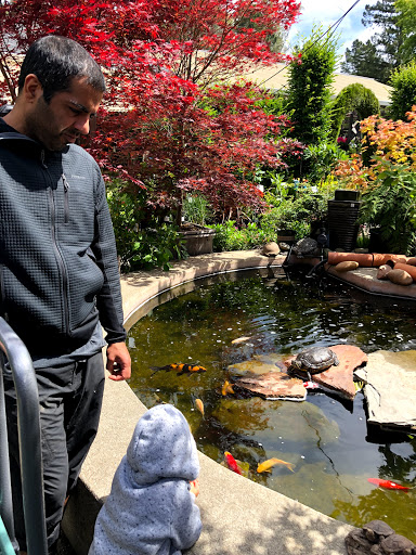 Plant Nursery «Orchard Nursery and Florist», reviews and photos, 4010 Mt Diablo Blvd, Lafayette, CA 94549, USA