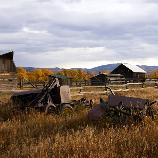 Real Estate Agency «CENTURY 21 Sakmar & Associates», reviews and photos, 129 E University Dr, Rochester, MI 48307, USA