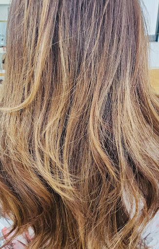 Beauty Salon «Studio 1 Hair Salon & Spa», reviews and photos, 16821 Crabbs Branch Way, Rockville, MD 20855, USA