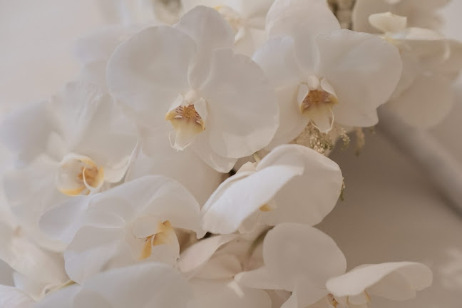 Histórias de Flores - São João da Madeira