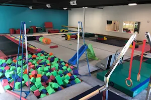 The Gym Nest Activity Center image