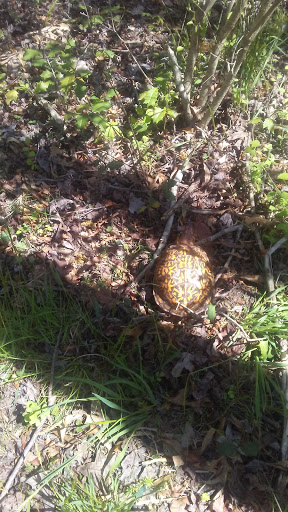 Nature Preserve «Eldora Nature Preserve», reviews and photos, 2350 NJ-47, Delmont, NJ 08314, USA