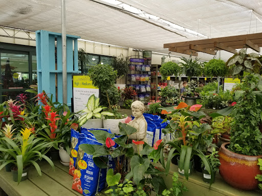 Garden Center «Pike Nurseries», reviews and photos, 615 W Crossville Rd, Roswell, GA 30075, USA