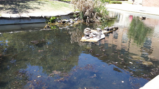 Historical Landmark «Littlefield Fountain», reviews and photos, 201 W 21st St, Austin, TX 78705, USA