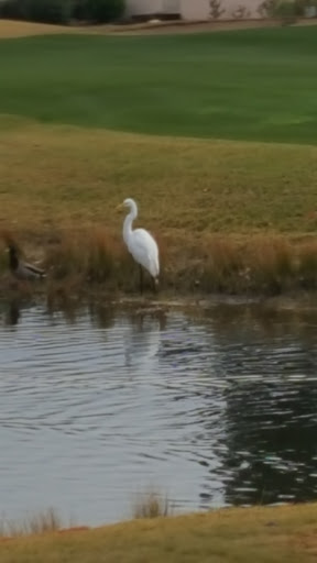 Golf Course «Tucson National Golf Course», reviews and photos, 2727 W Club Dr, Tucson, AZ 85742, USA