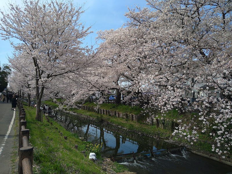 氷川桜パーク