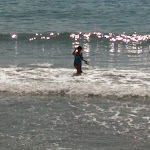 Photo n°2 de l'avis de Cosi.t fait le 07/11/2018 à 15:04 sur le  Hotel President Sea Palace à Noto