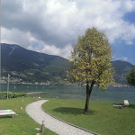 Photo n°2 de l'avis de Roberta.c fait le 01/08/2023 à 04:41 sur le  Belvedere Clusane Restaurant-Pizza-Camping à Clusane