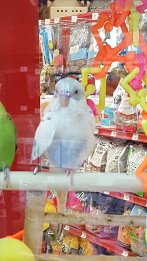 Pet Supply Store «Petco Animal Supplies», reviews and photos, 4012 W 27th Ave, Kennewick, WA 99337, USA