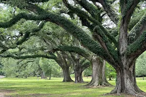 Golf Club at Audubon Park image