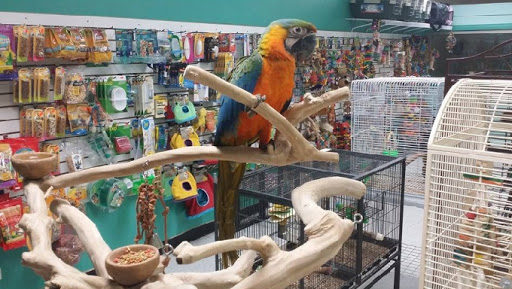 Pet Supply Store «Pet Supplies Plus», reviews and photos, 126 E Main St, Smithtown, NY 11787, USA