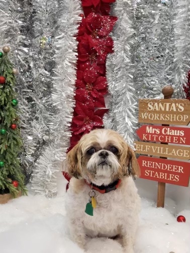 Pet Store «Healthy Pets Mountain West», reviews and photos, 2352 Fort Union Blvd, Cottonwood Heights, UT 84121, USA