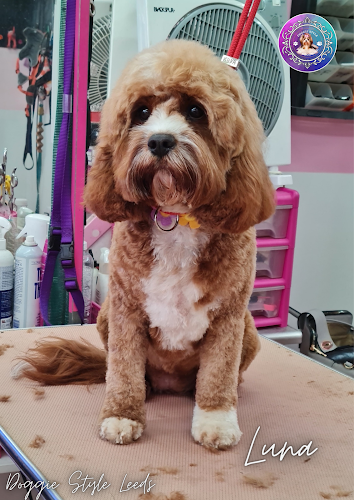 Doggie Style Pet Grooming & Canine Wellbeing - Leeds