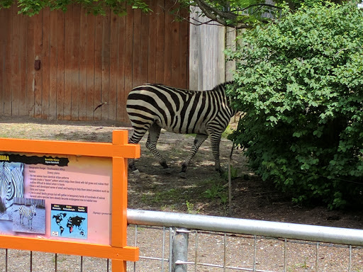 Zoo «The Buffalo Zoo», reviews and photos, 300 Parkside Ave, Buffalo, NY 14214, USA