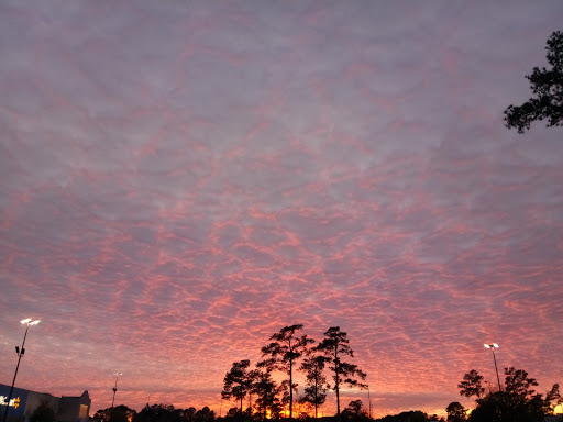 Department Store «Walmart Supercenter», reviews and photos, 5226 Sigmon Rd, Wilmington, NC 28403, USA