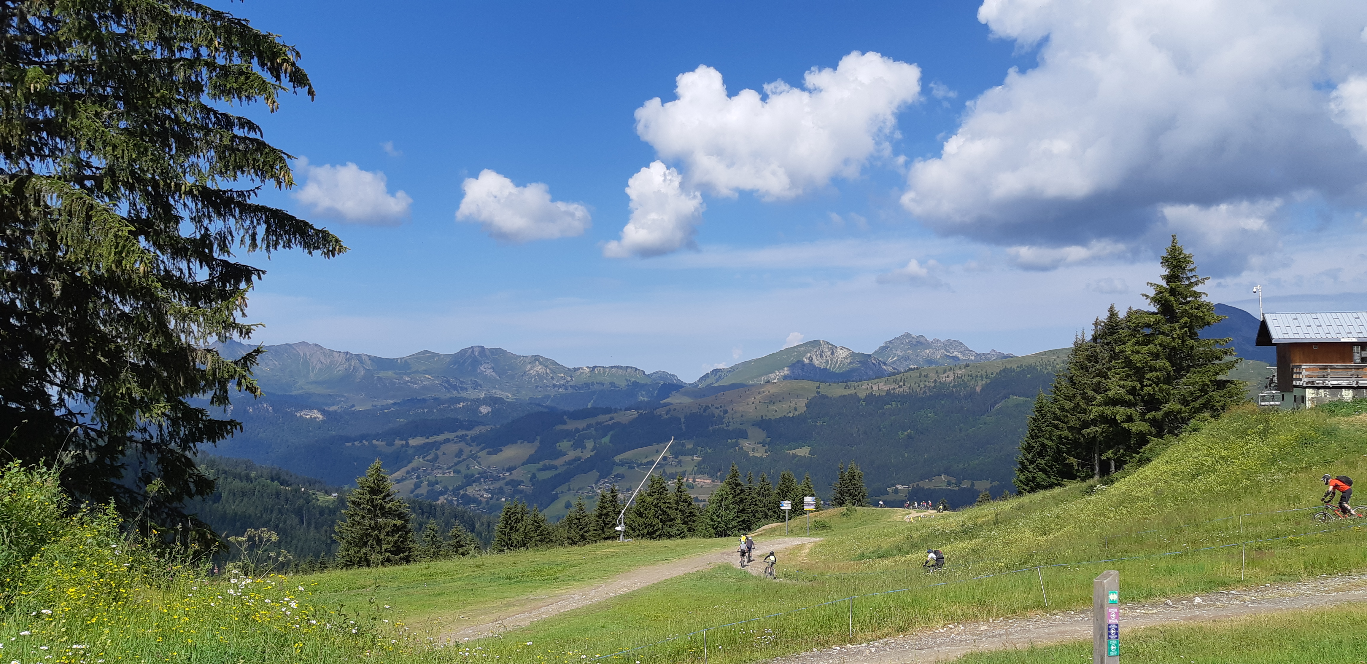 Photo n° 21 de l'avis de Joelle.e fait le 20/07/2018 à 19:26