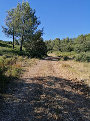 SUD FRANCE à Chabeuil