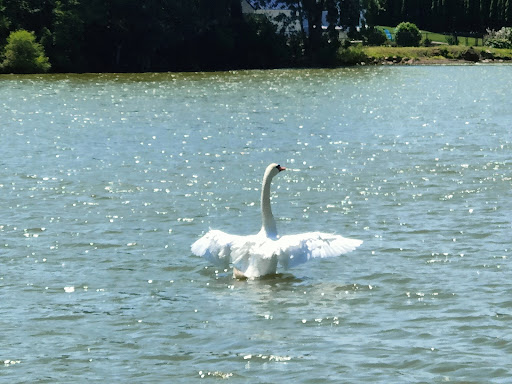 Memorial Park «Governor John Notte Memorial Park», reviews and photos, 1801 Douglas Ave, North Providence, RI 02904, USA