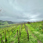 Photo n°12 de l'avis de Paolo.m fait le 29/03/2024 à 20:55 sur le  Trattoria Ristoro Fos De Marai à Valdobbiadene