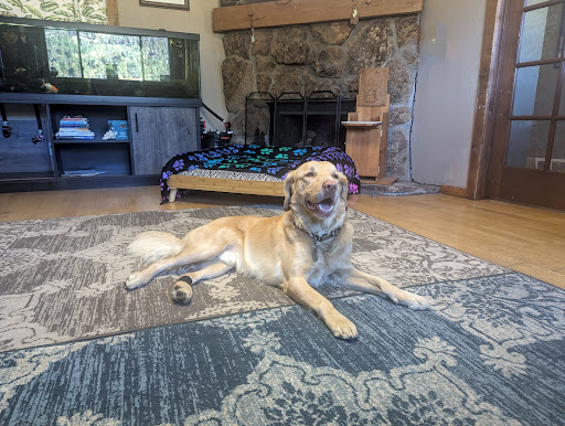 Aspen Park Vet Hospital image