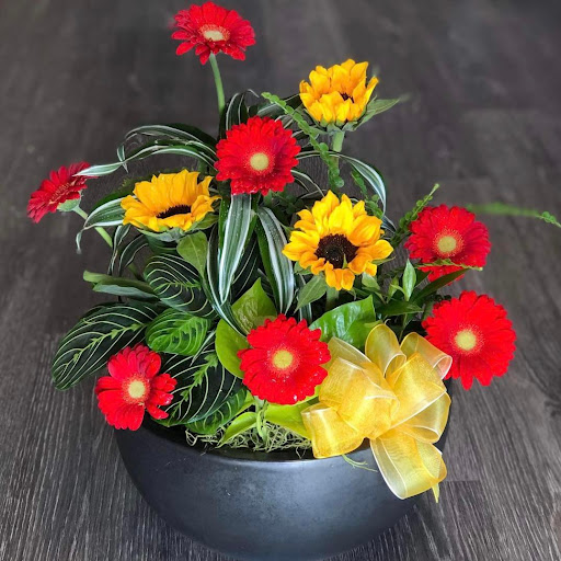 Florist «Plumeria Botanical Boutique», reviews and photos, 1364 W Michigan Ave, Battle Creek, MI 49037, USA