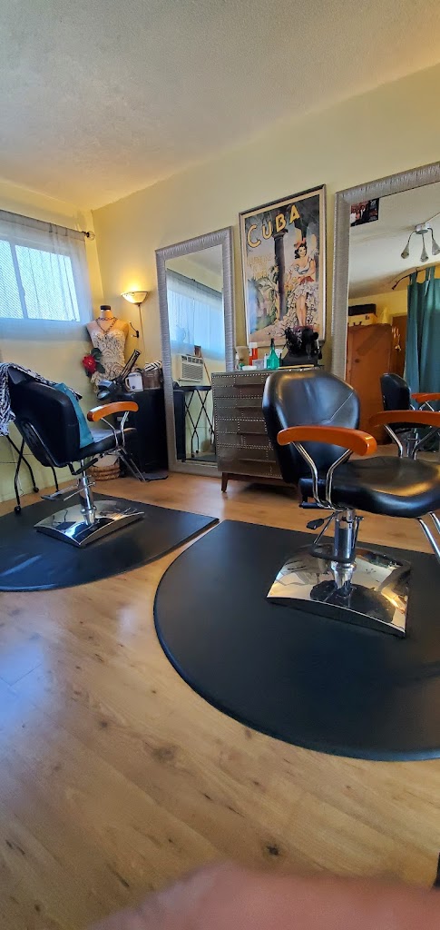 Capelli-A Hair Studio 94901