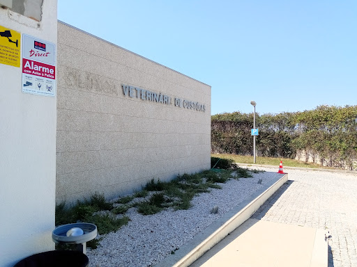 Clinica Veterinaria De Custoias - Alberto Vilaça-Serviços De Veterinária, Lda.